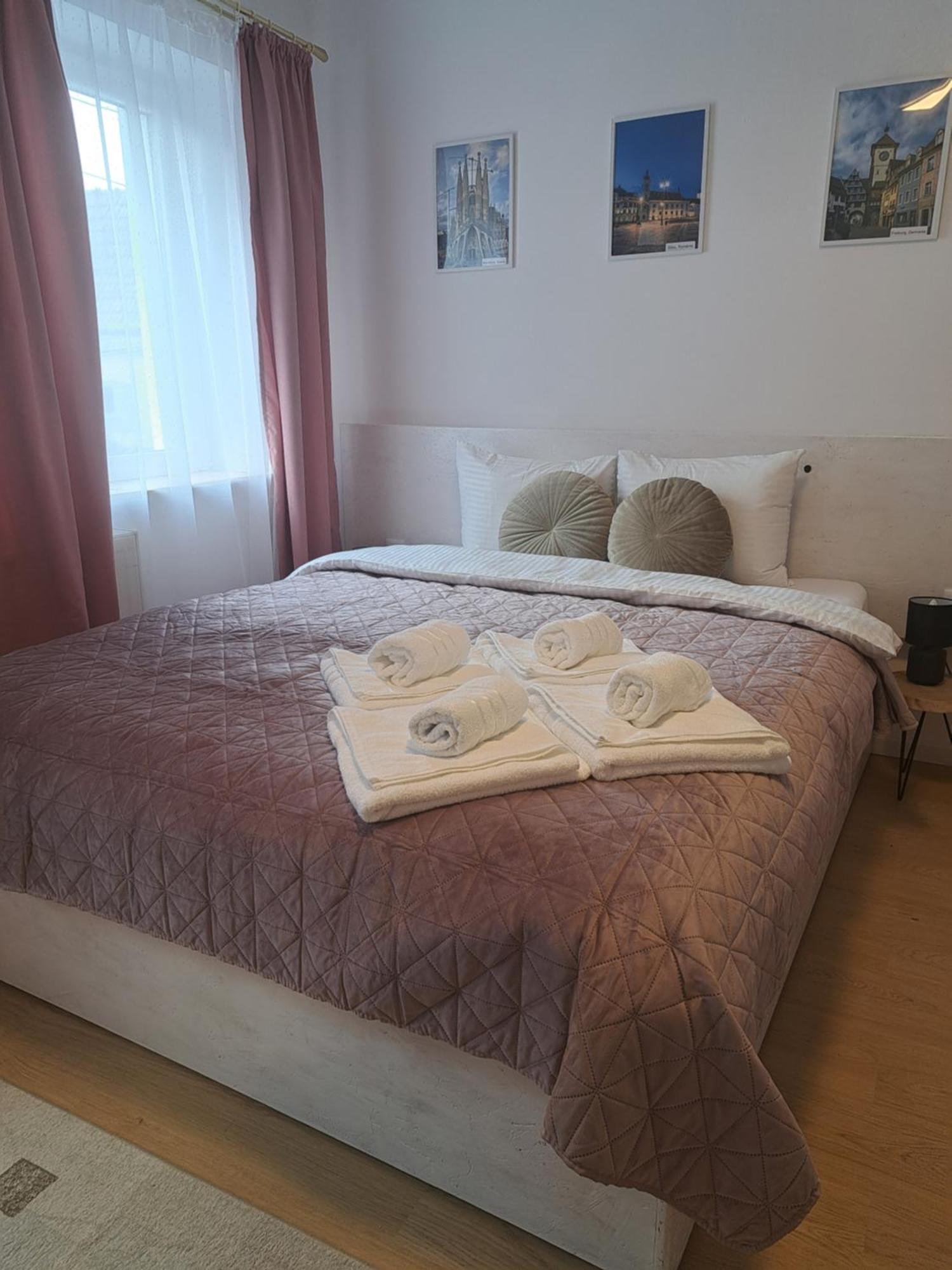 Studio With Free Parking In The Center - Deliamo 3 Сібіу Екстер'єр фото