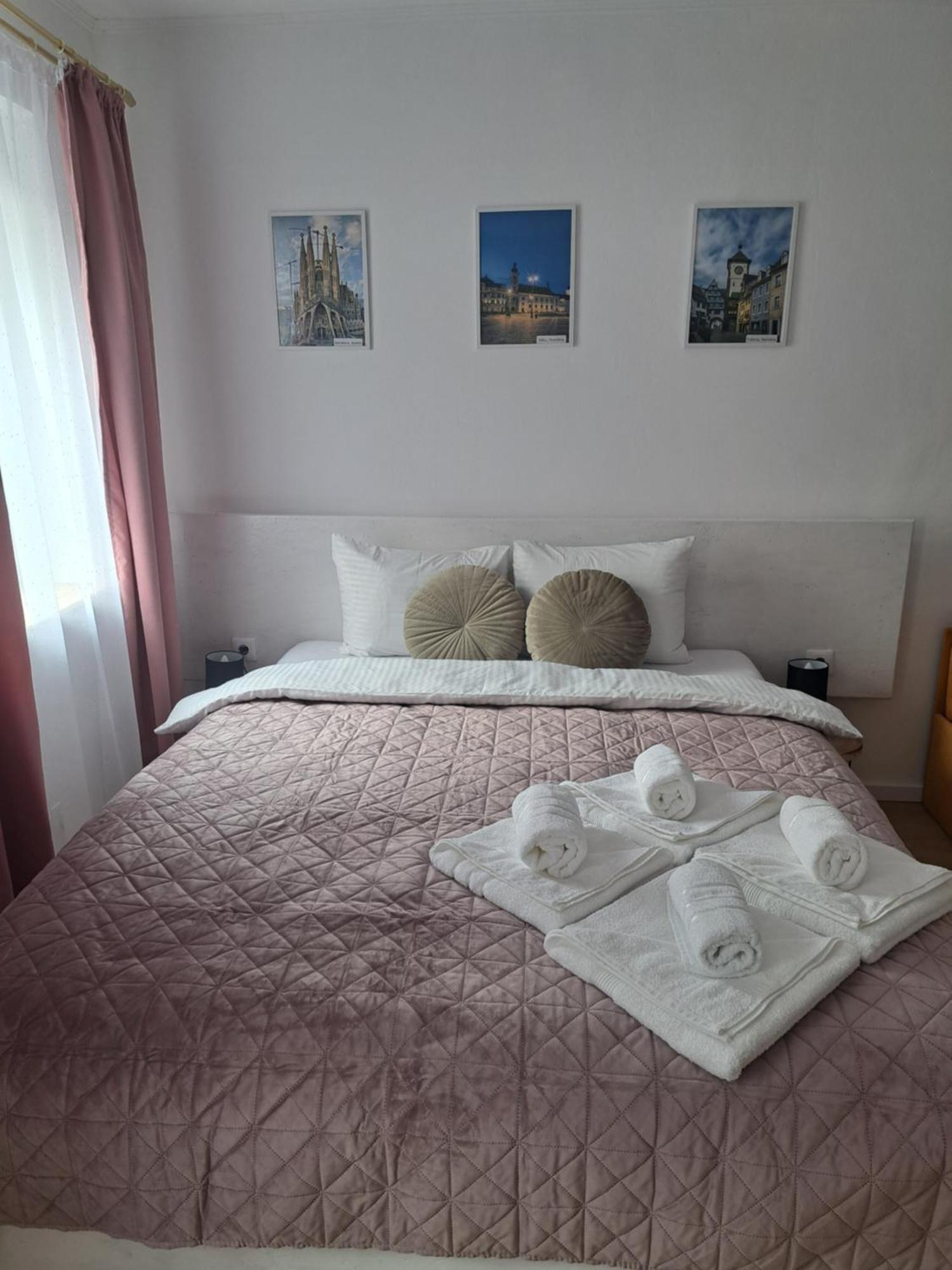 Studio With Free Parking In The Center - Deliamo 3 Сібіу Екстер'єр фото