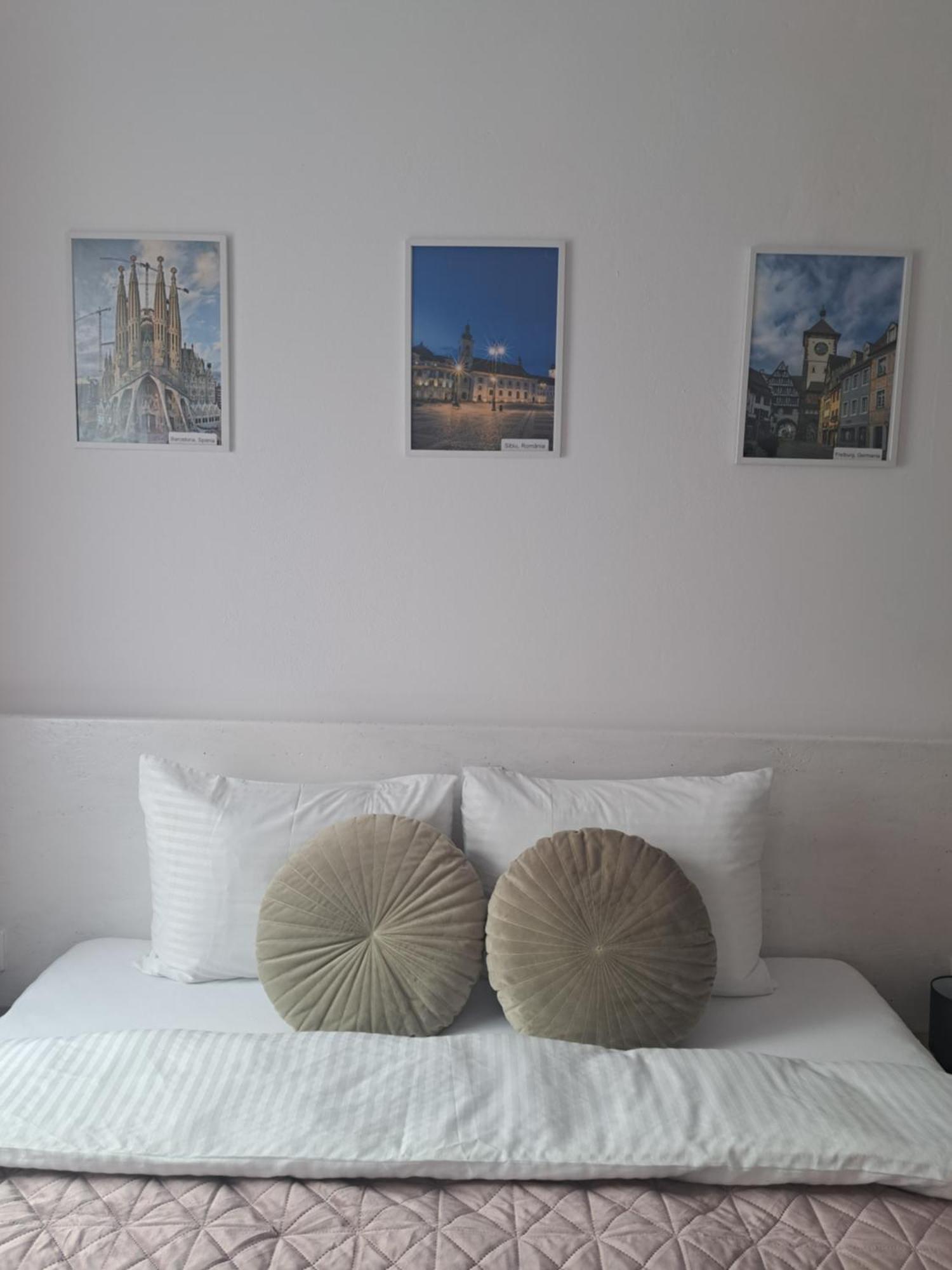 Studio With Free Parking In The Center - Deliamo 3 Сібіу Екстер'єр фото